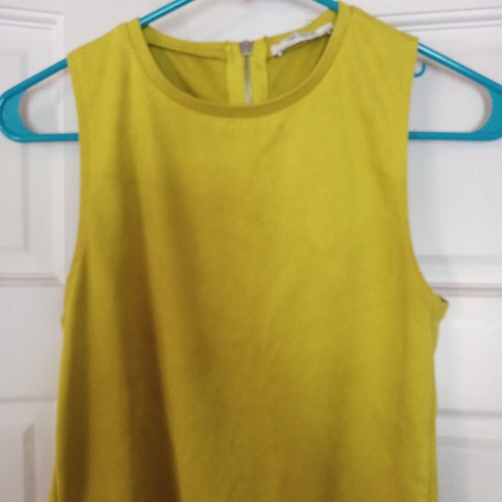 Zara Trafaluc Crop Top